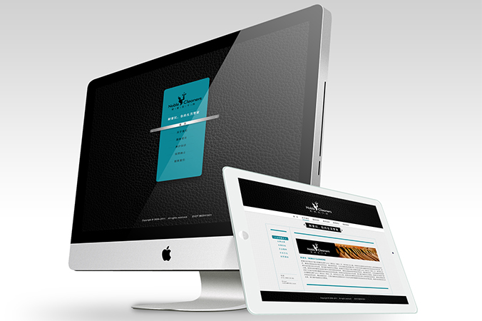 耐普拉干洗 网页设计 交互设计 企业网站设计