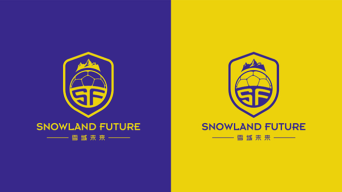 雪域未来 logo设计 公司logo设计 企业标志设计
